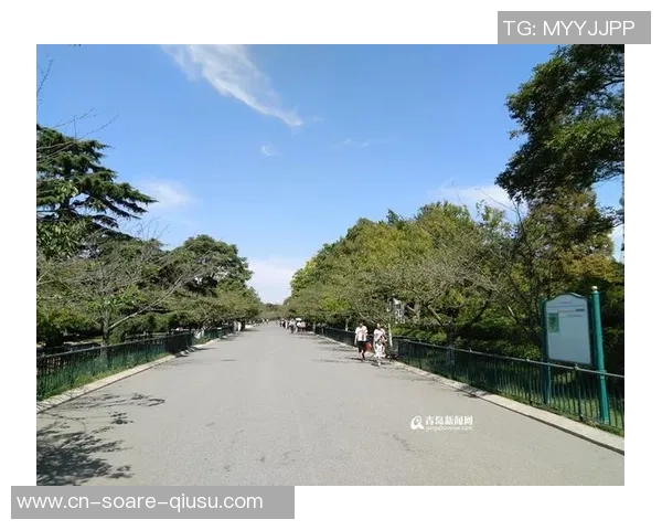 气象专家揭秘十五运会11月举行的原因！称十分合适竞赛观赛